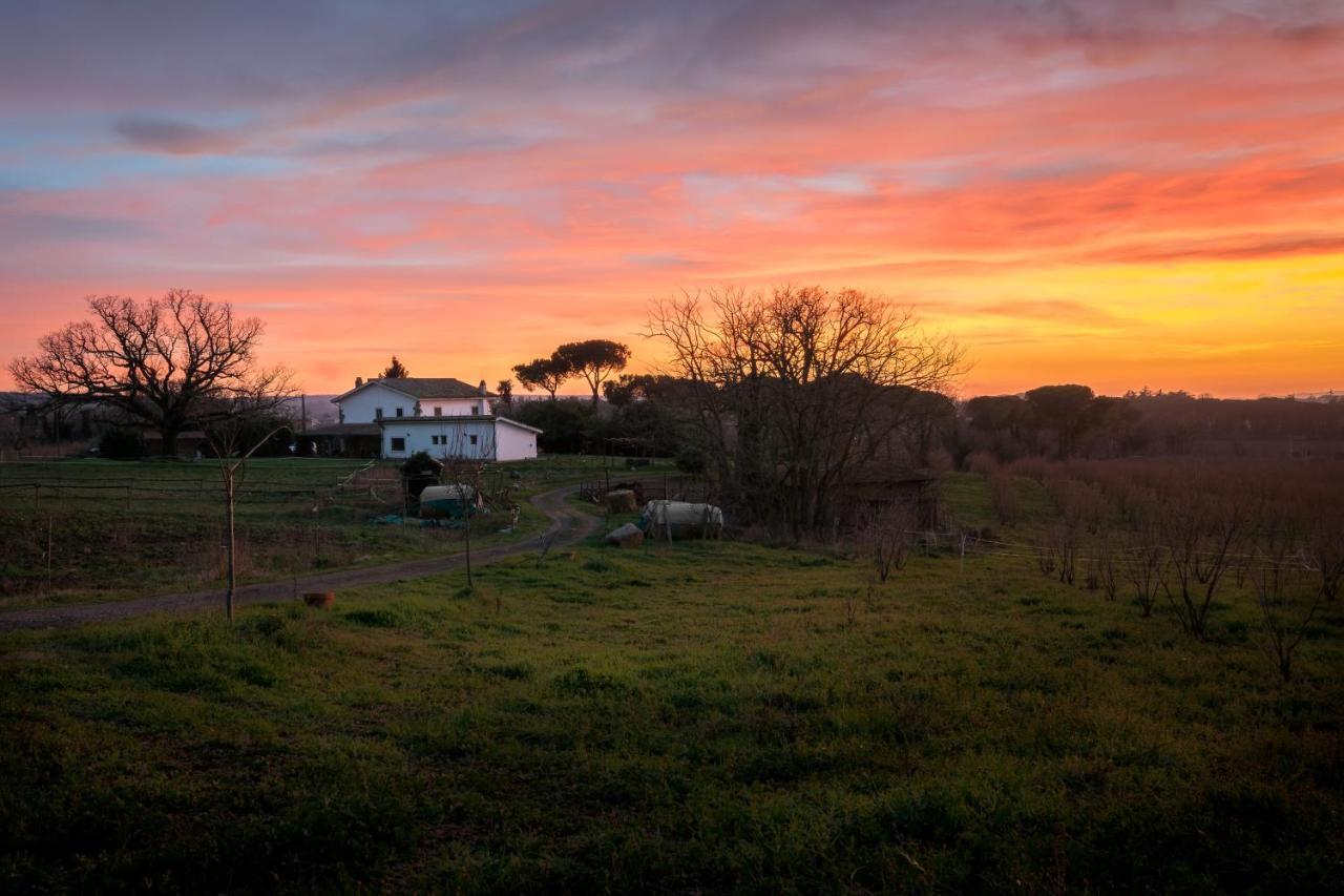 Agriturismo Il Poggio Верталла Екстер'єр фото
