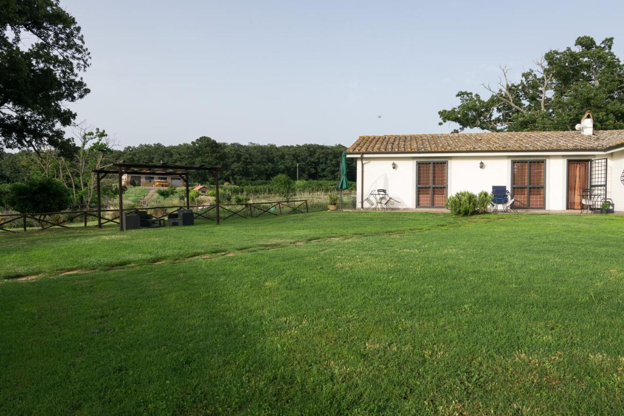 Agriturismo Il Poggio Верталла Екстер'єр фото