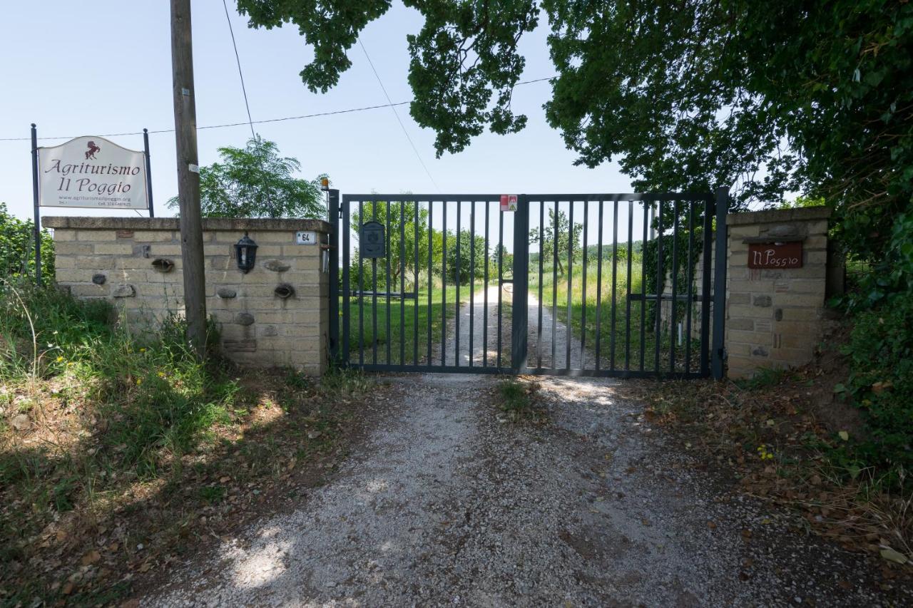 Agriturismo Il Poggio Верталла Екстер'єр фото