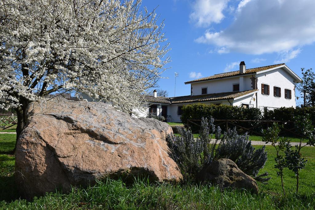 Agriturismo Il Poggio Верталла Екстер'єр фото